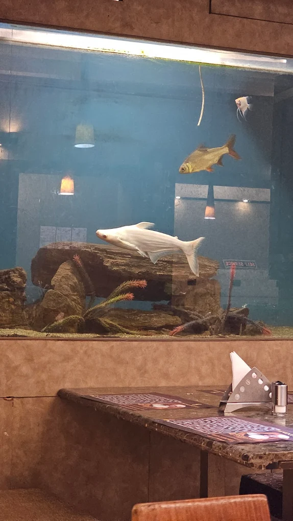 Femina Shopping Mall Hyper